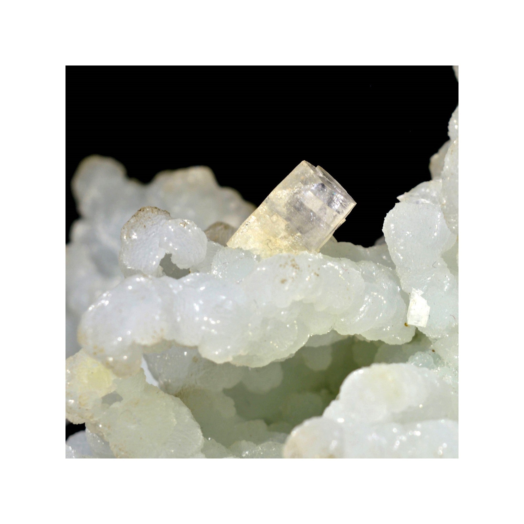 Prehnite psm laumontite et apophyllite - Carrière Malad, district de Mumbai, Maharashtra, Inde.