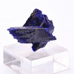 Azurite - Kerrouchen, Maroc