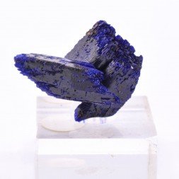 Azurite - Kerrouchen, Maroc