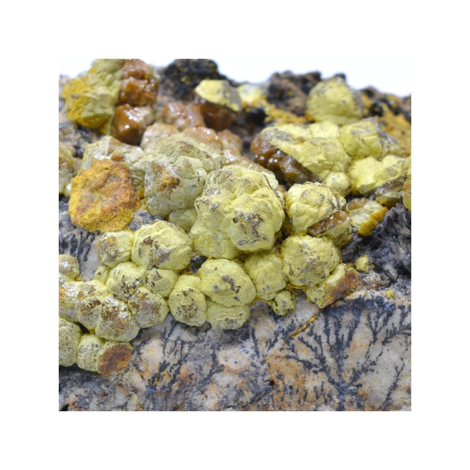 Mimétite var. Campylite - Dry Gill, Cumbria, Royaume-Uni
