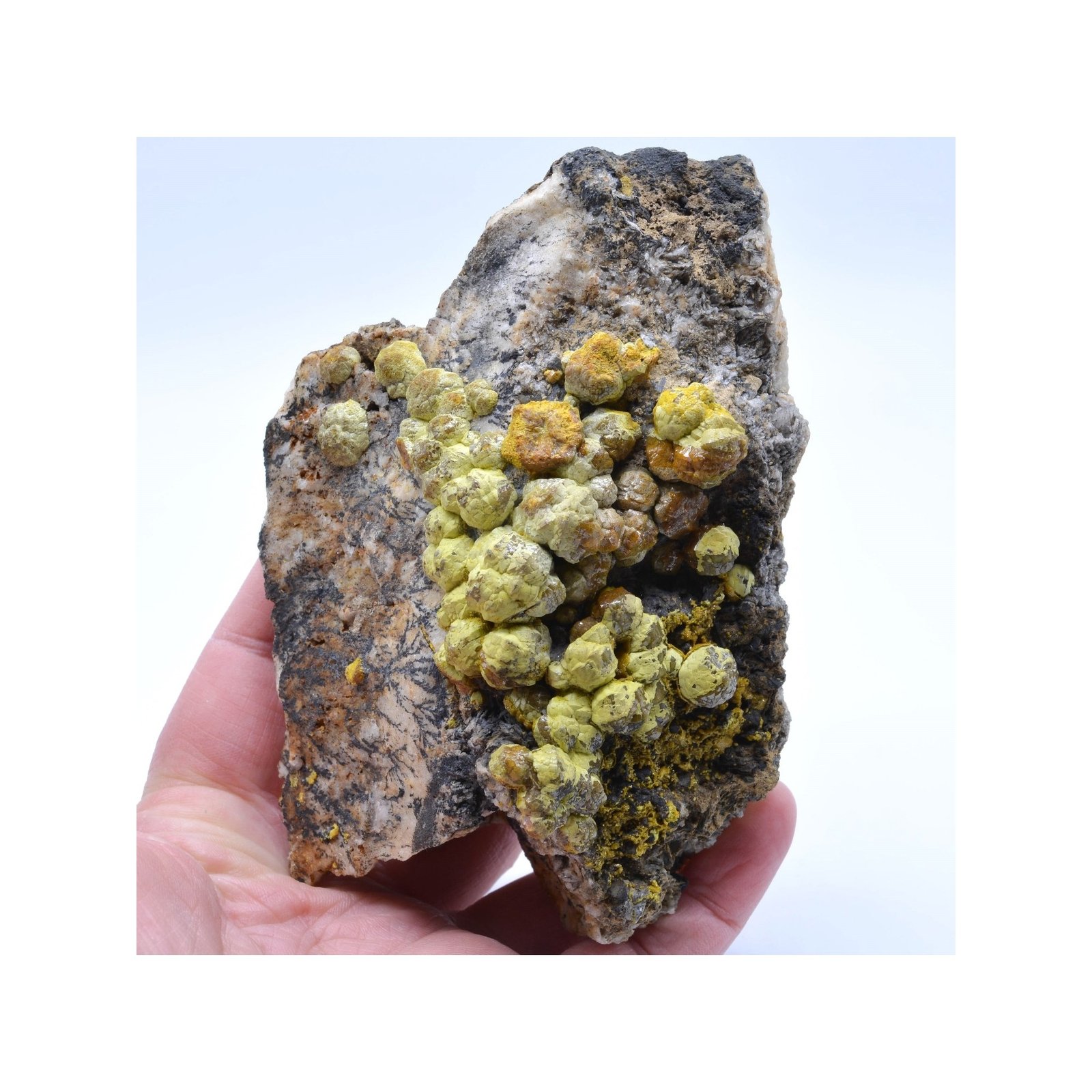 Mimétite var. Campylite - Dry Gill, Cumbria, Royaume-Uni