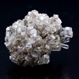 Transparent columnar calcite - Xia Yang mine, Fujian, China