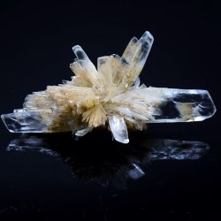 Gypsum - Angervilliers, Essonne, France
