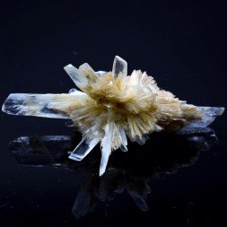 Gypsum - Angervilliers, Essonne, France