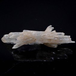 Gypsum - Angervilliers, Essonne, France