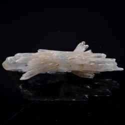 Gypsum - Angervilliers, Essonne, France