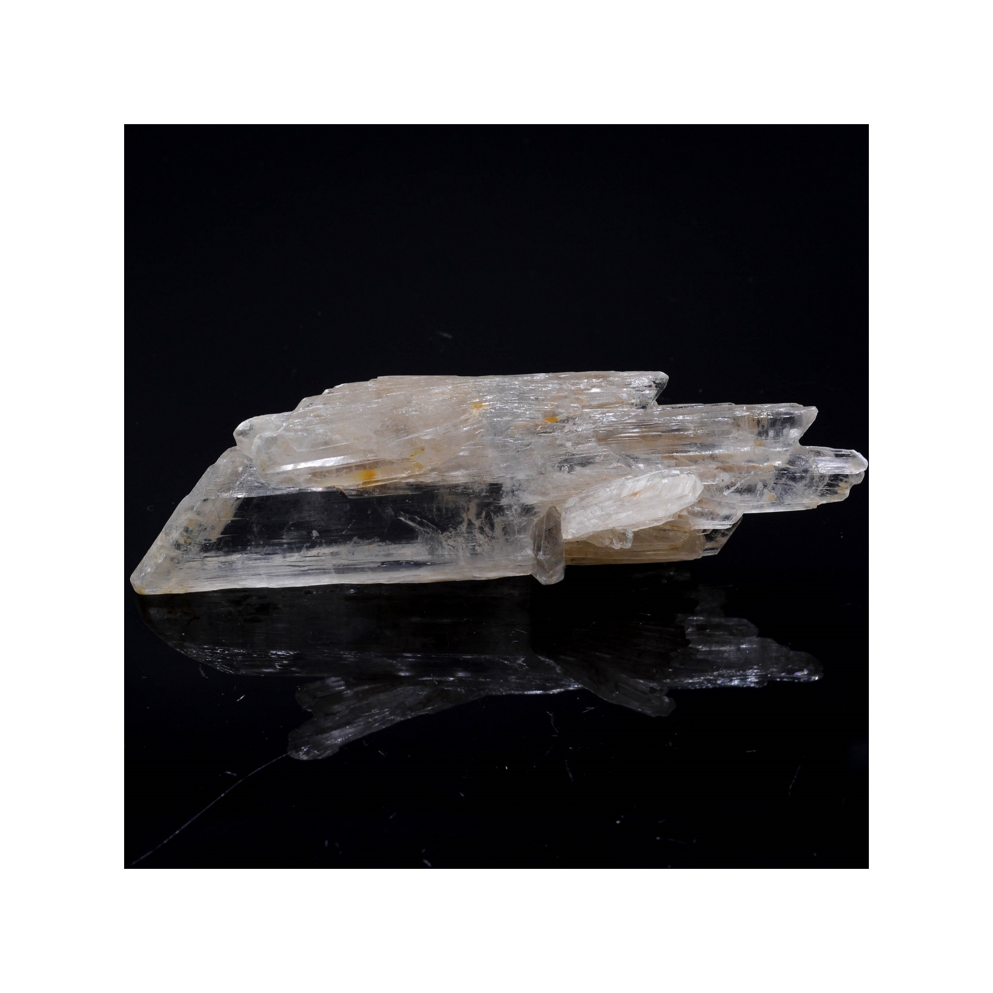 Gypsum - Angervilliers, Essonne, France