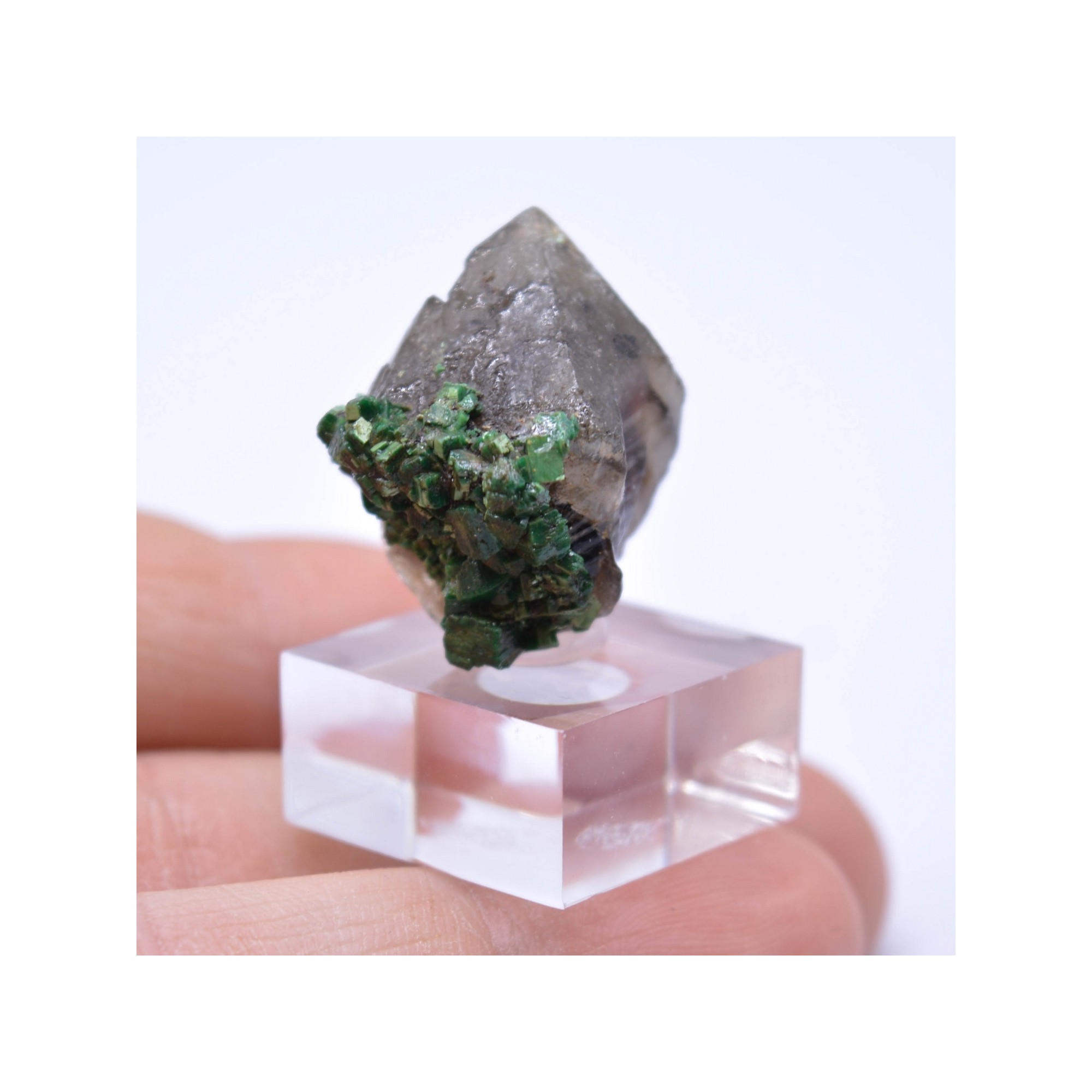 Torbernite - Entraygues, Aveyron, France