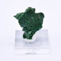 Torbernite - Entraygues, Aveyron, France