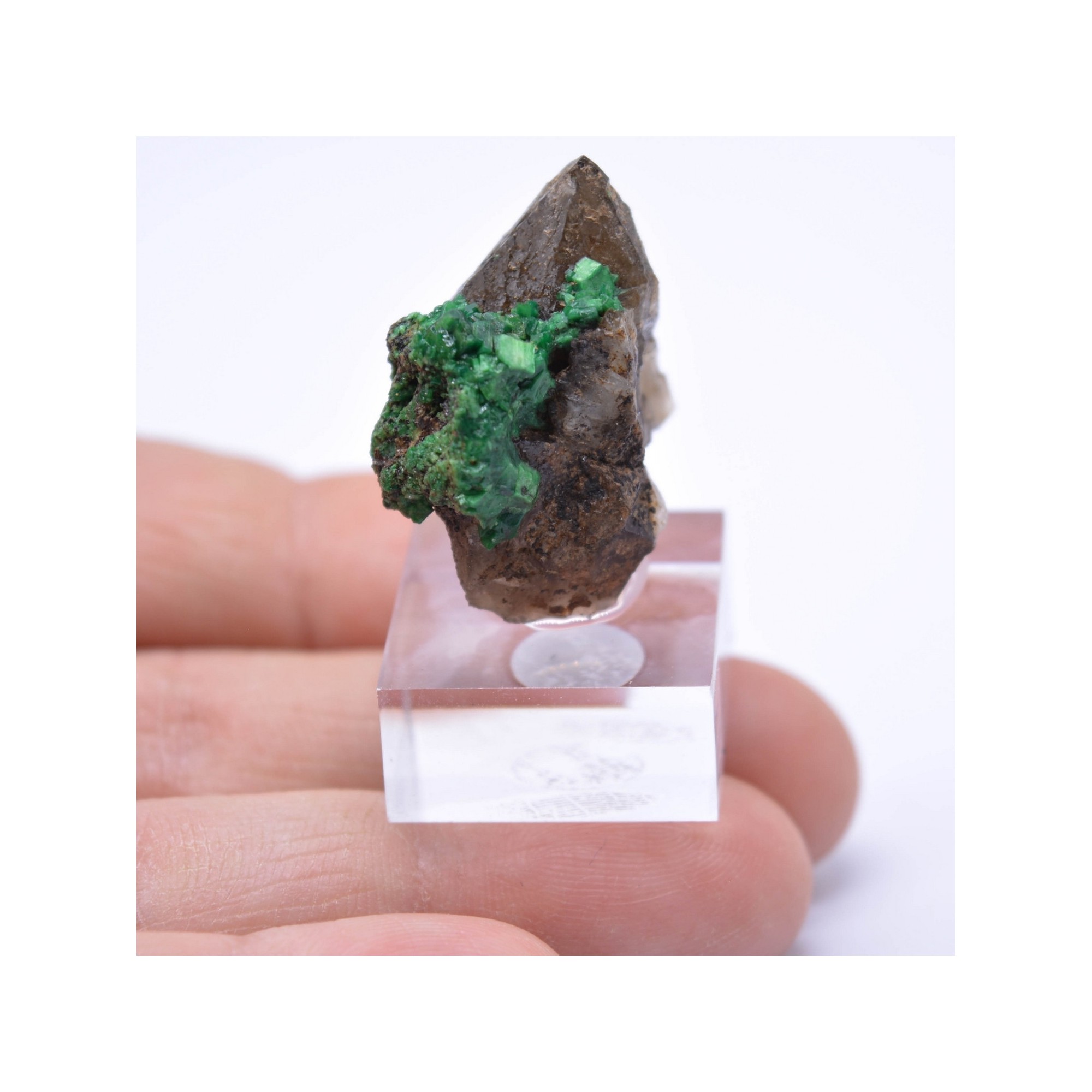 Torbernite - Entraygues, Aveyron, France