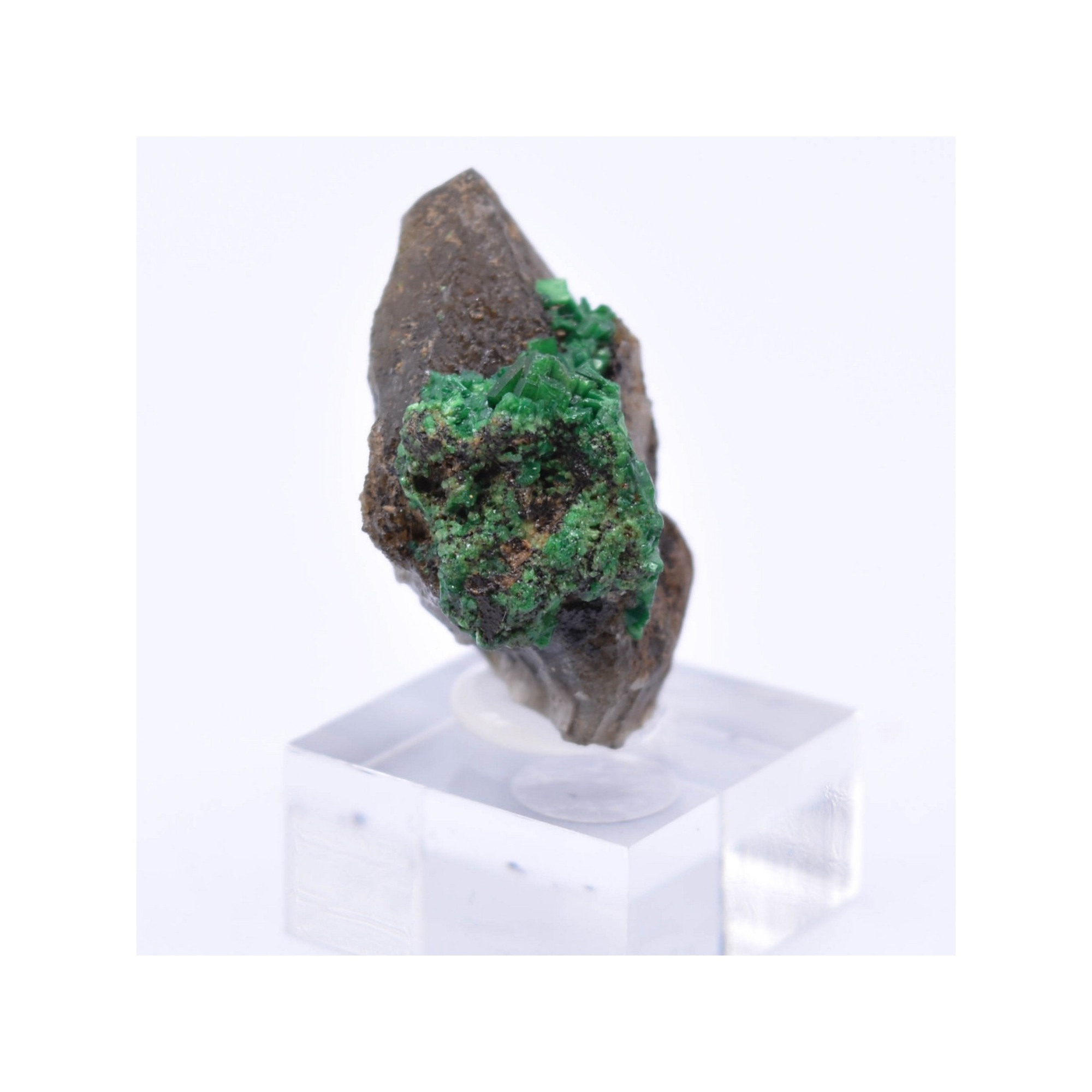 Torbernite - Entraygues, Aveyron, France