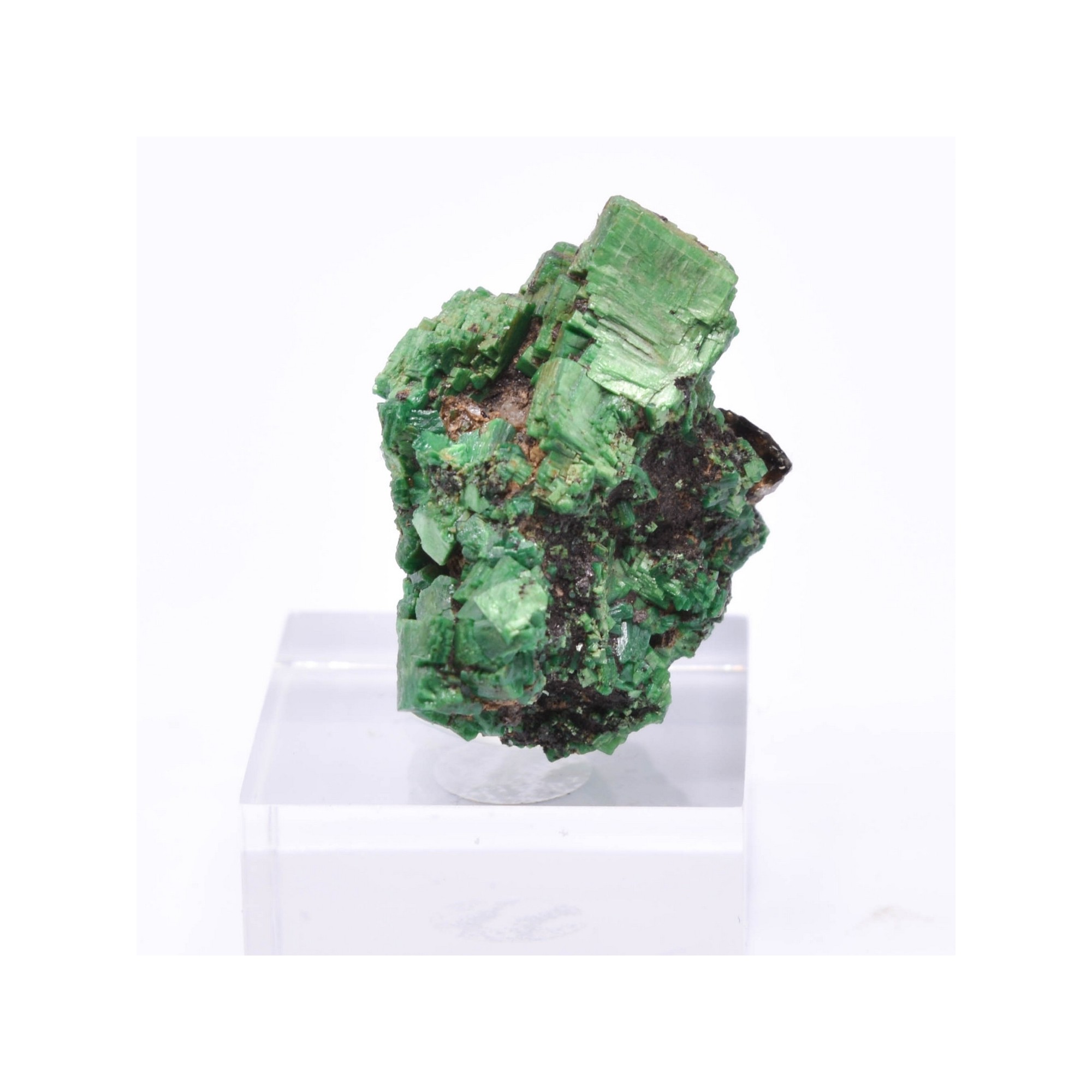 Torbernite - Entraygues, Aveyron, France