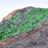 Torbernite - Entraygues, Aveyron, France