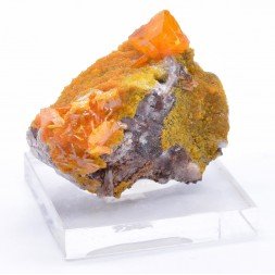 Wulfénite, Mine Toughnut, Tombstone, Arizona, USA