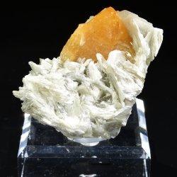 Scheelite on muscovite - Xuebaoding Mts, Pingwu, Sichuan Prov., China
