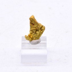 Cristallized gold - Morbihan, Bretagne, France