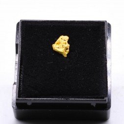 Cristallized gold - Morbihan, Bretagne, France