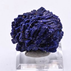 Azurite / Chessylite - Chessy, Rhône, France