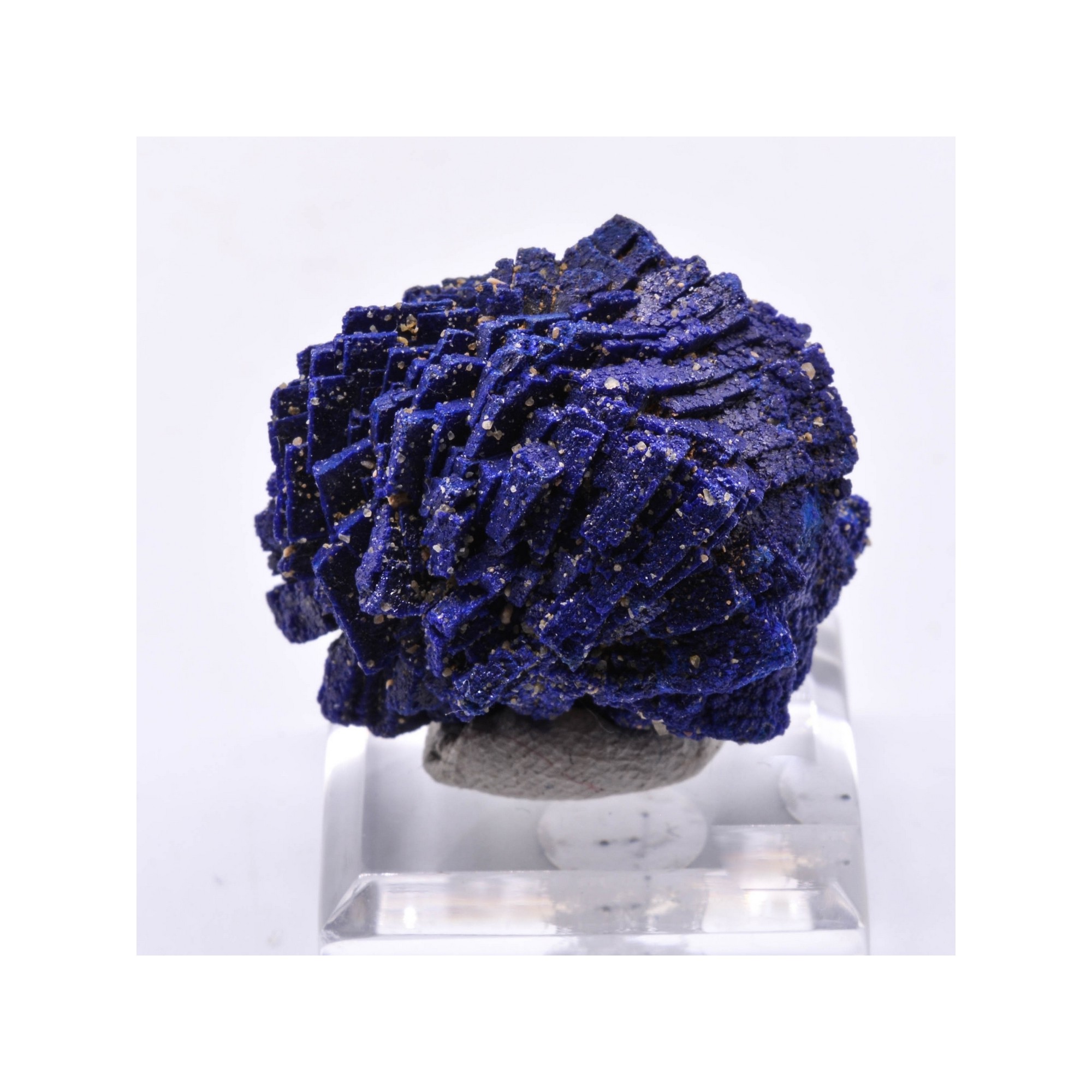 Azurite / Chessylite - Chessy, Rhône, France