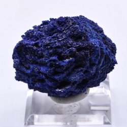 Azurite / Chessylite - Chessy, Rhône, France
