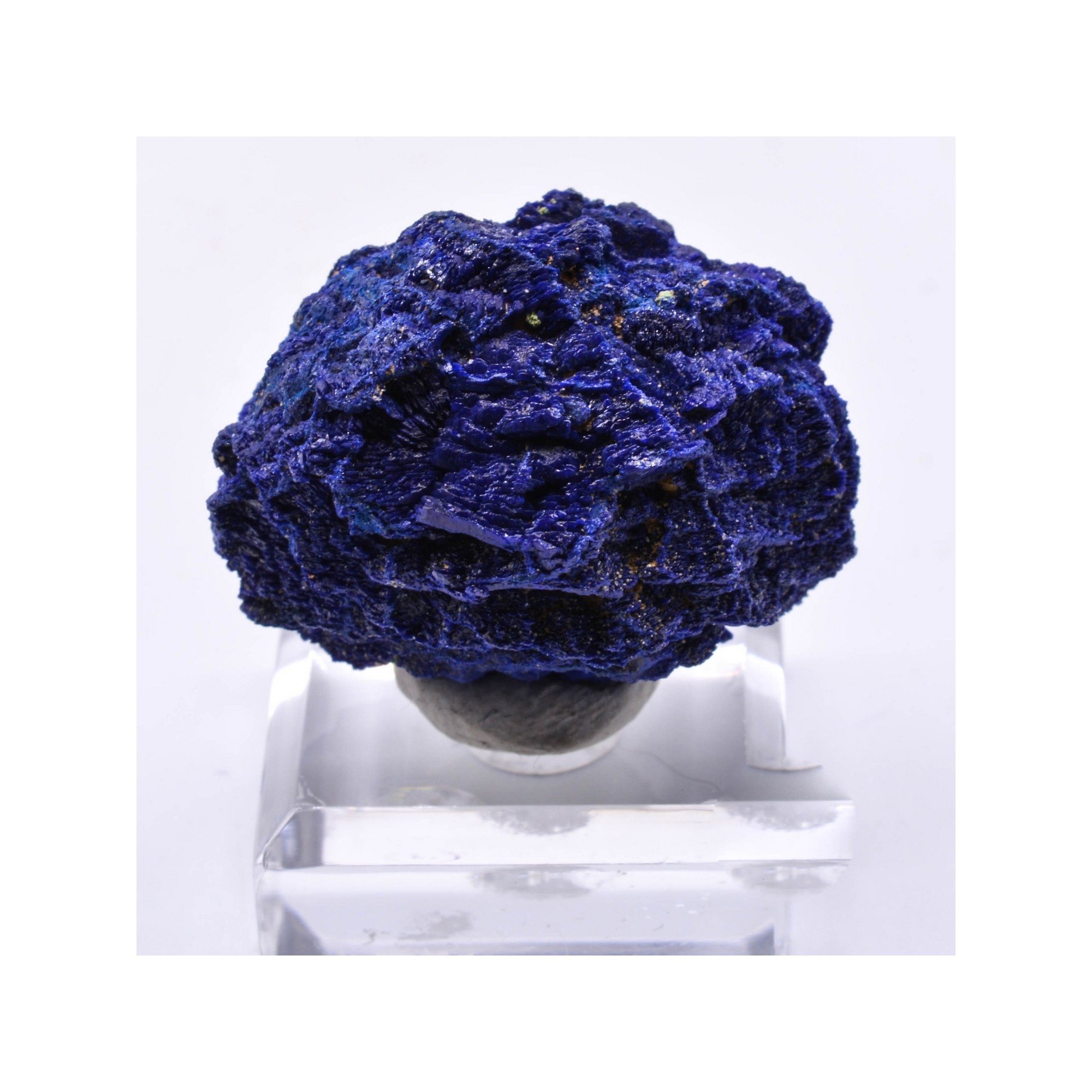 Azurite / Chessylite - Chessy, Rhône, France