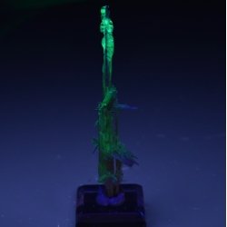 Rutile and opale hyalite - Novo Horizonte, Bahia, Brazil