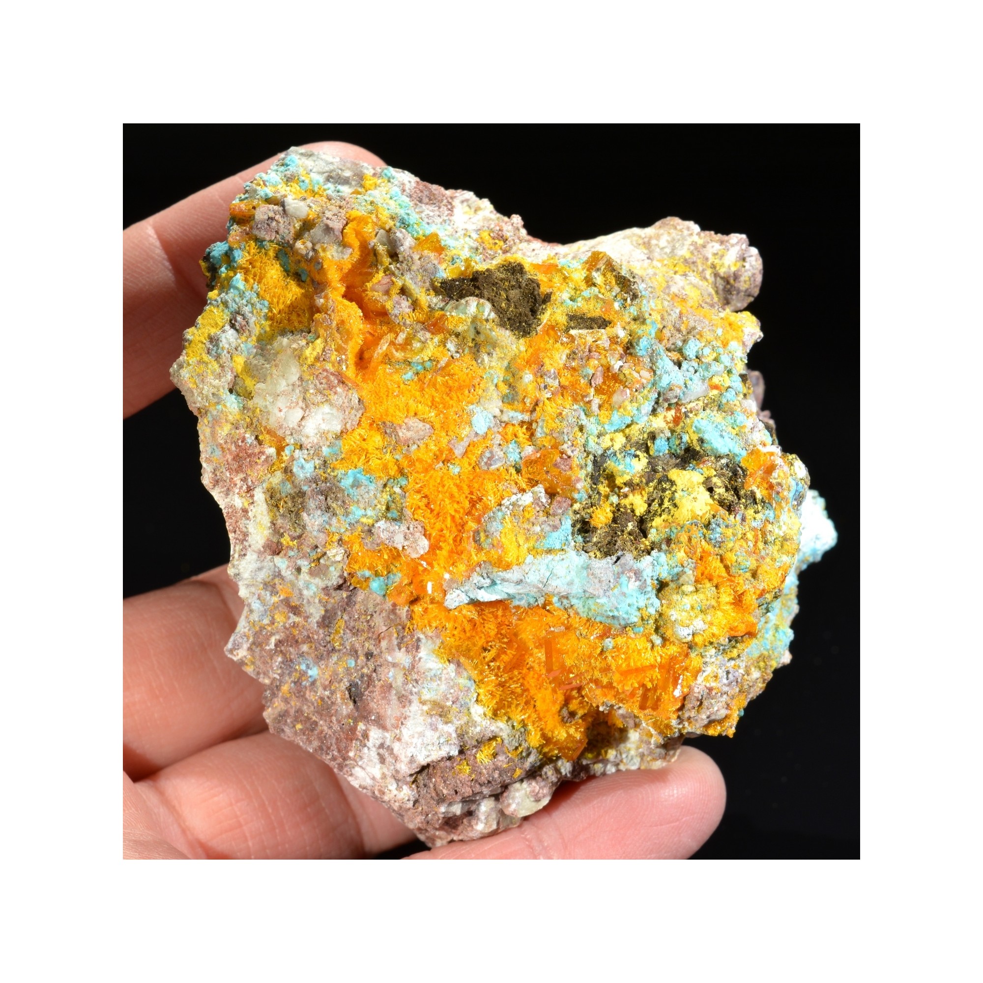 Wulfénite, mimétite et chrysocolle - Mine Rawley, Arizona, Etats-Unis