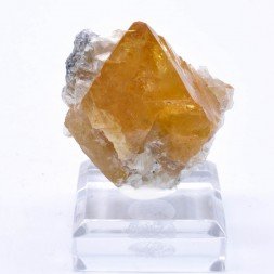 Scheelite and muscovite - Xuebaoding Mts, Pingwu, Sichuan Prov., China