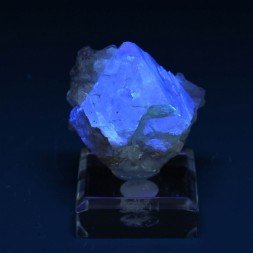 Scheelite et muscovite - Monts Xuebaoding, Pingwu, Province du Sichuan, Chine