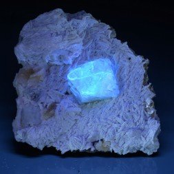 Scheelite sur muscovite et calcite - Monts Xuebaoding, Pingwu, Province du Sichuan, Chine