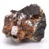 Quartz, septaria, ankerite - Mison, Alpes-de-Haute-Provence, France