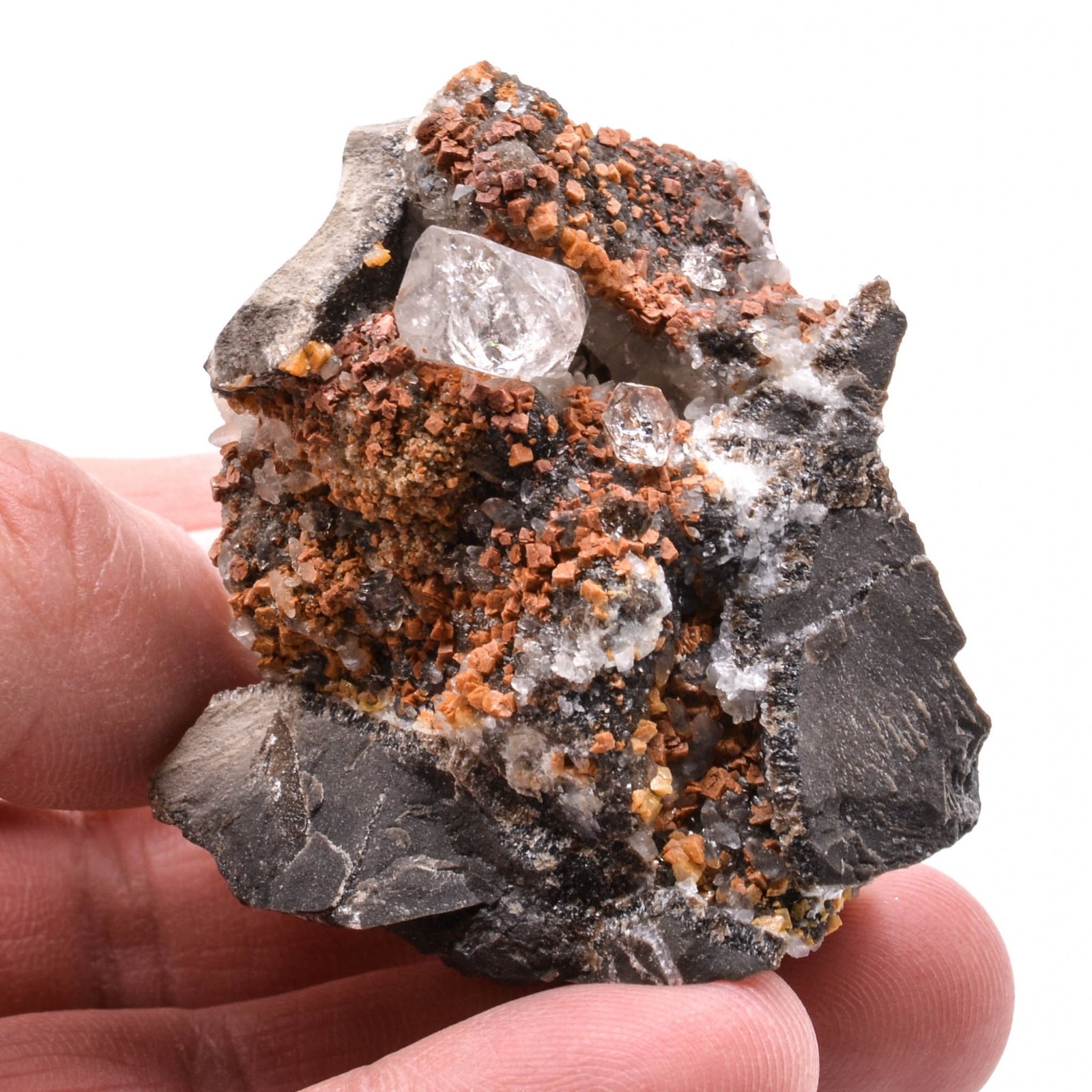 Quartz, septaria, ankerite - Mison, Alpes-de-Haute-Provence, France