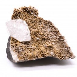 Quartz sur pétales de calcite - Allos, Alpes-de-Haute-Provence, France