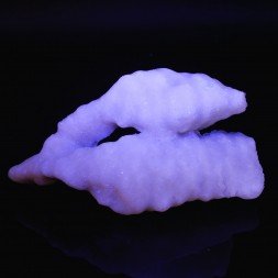 Calcite - Isérables, Martigny, Valais, Switzerland