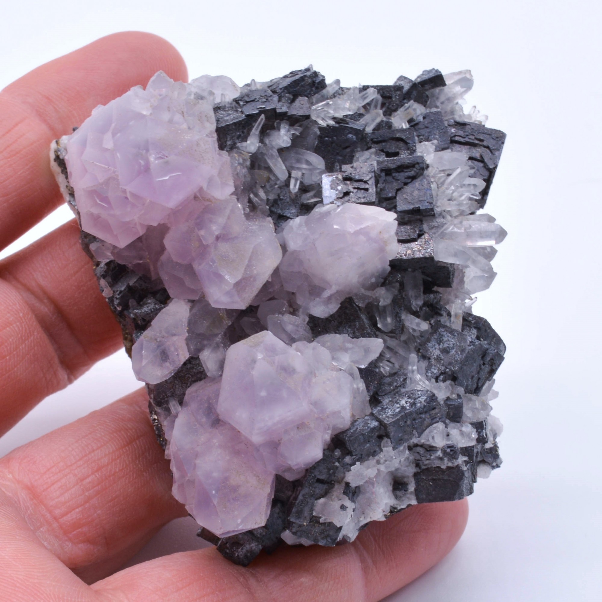 Amethyst and galena - Chala mine, Bulgaria