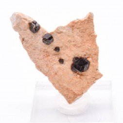 Grenat - Nador, Maroc