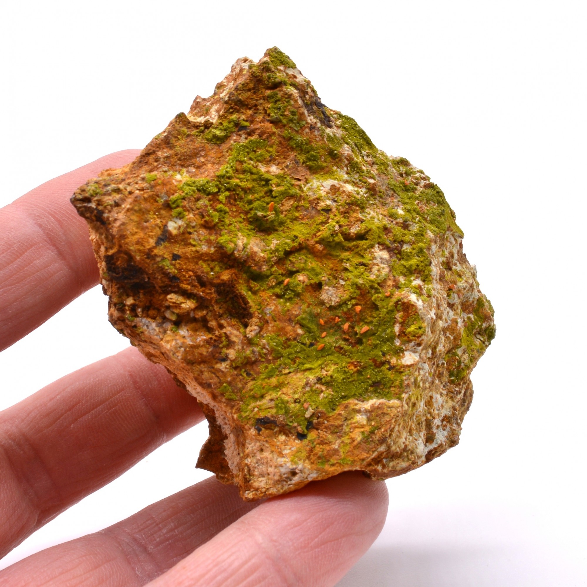 Pyromorphite and crocoite - Nontron, Dordogne, France