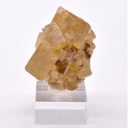 Barytine - Châtel-Guyon, Puy-de-Dôme, France