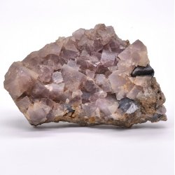 Fluorine et galène - Durfort, Gard, France