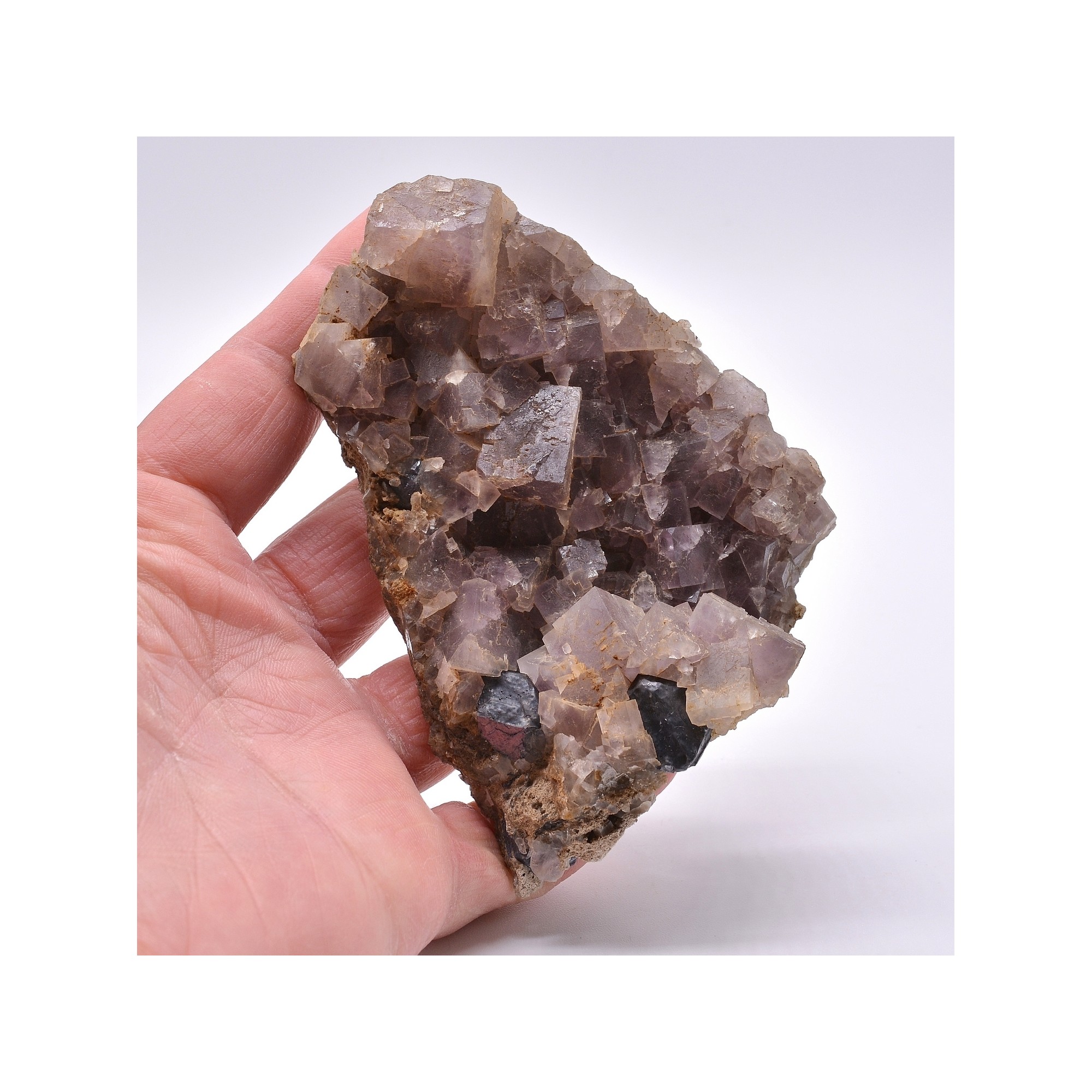 Fluorite and galena - Durfort, Gard, France