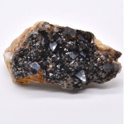 Morion quartz - Ploemeur, Morbihan, France