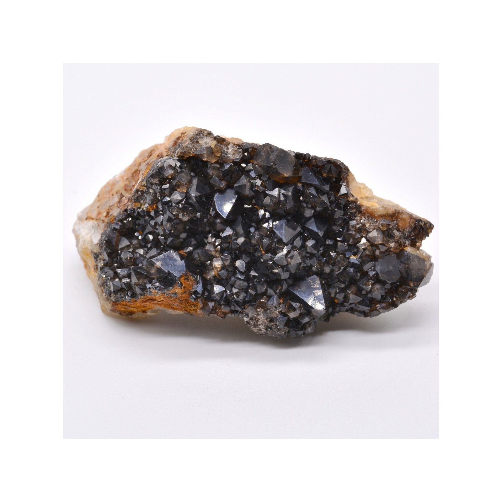 Quartz morion - Ploemeur, Morbihan, France
