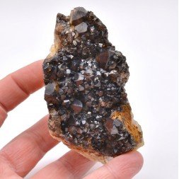 Morion quartz - Ploemeur, Morbihan, France