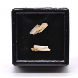 Cerussite - Plélauff, Côtes-d'Armor, France