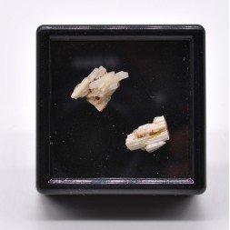 Cerussite - Plélauff, Côtes-d'Armor, France