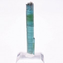 Indicolite tourmaline - Santa Rosa mine, Itambacuri, Minas Gerais, Brazil