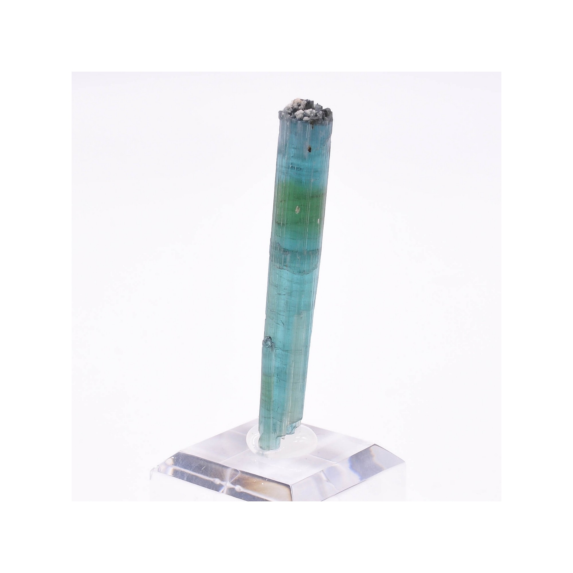 Tourmaline - elbaïte var. indicolite - Mine Santa Rosa, Itambacuri, Minas Gerais, Brésil