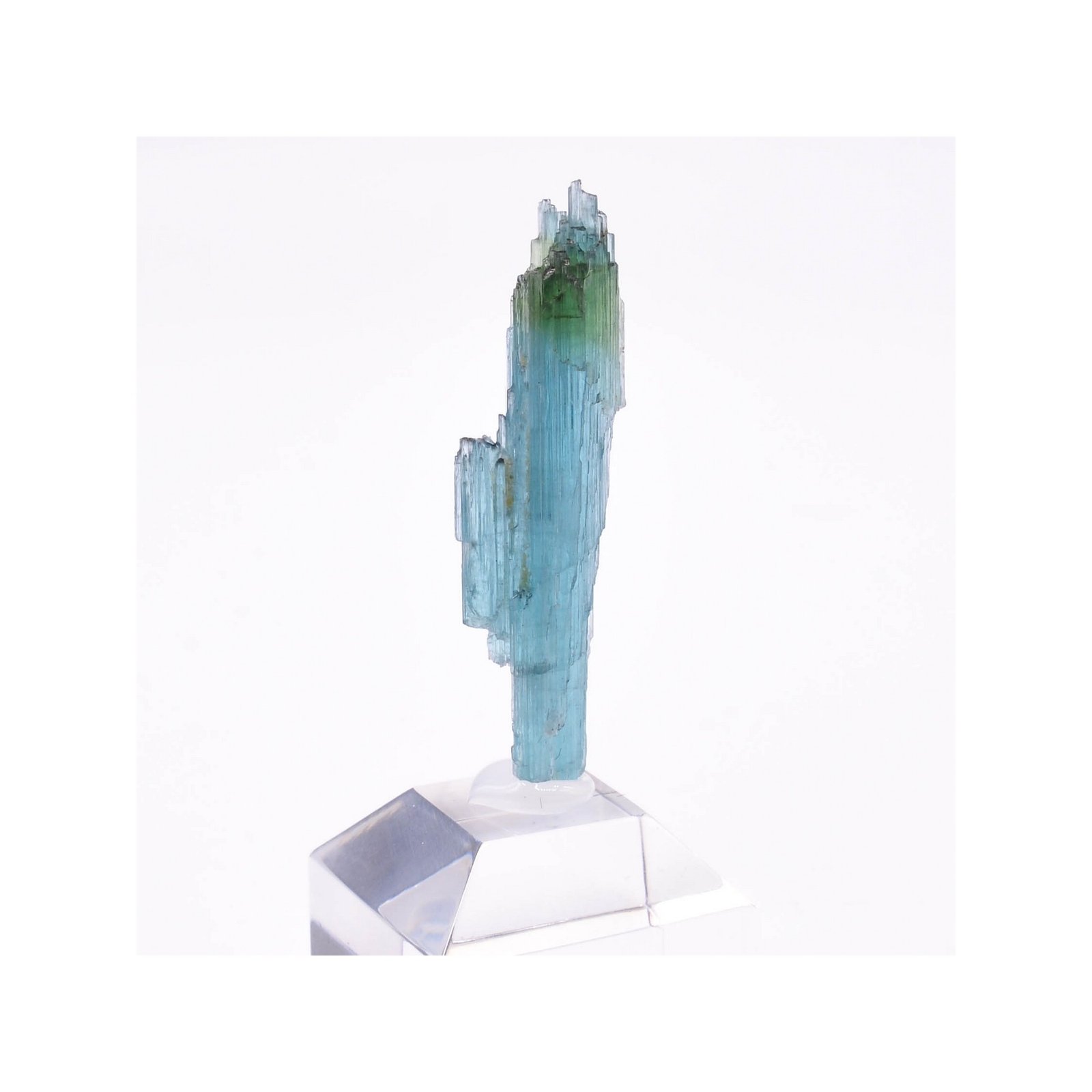 Tourmaline - elbaïte var. indicolite - Mine Santa Rosa, Itambacuri, Minas Gerais, Brésil