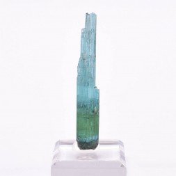 Indicolite tourmaline - Santa Rosa mine, Itambacuri, Minas Gerais, Brazil