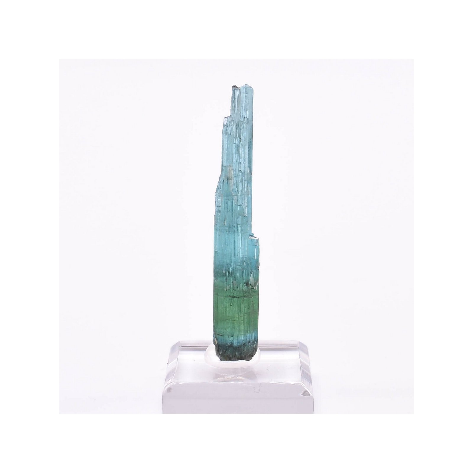 Tourmaline - elbaïte var. indicolite - Mine Santa Rosa, Itambacuri, Minas Gerais, Brésil